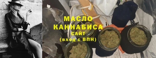 амф Гусь-Хрустальный