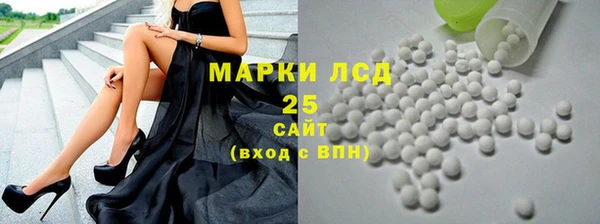 амф Гусь-Хрустальный