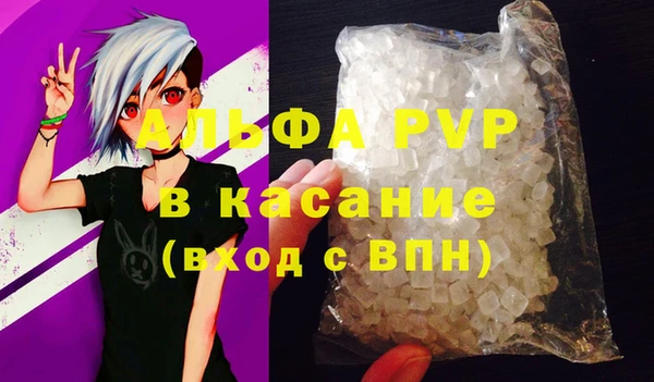 амф Гусь-Хрустальный