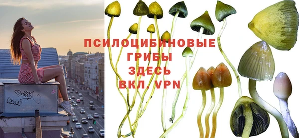 меф Туринск