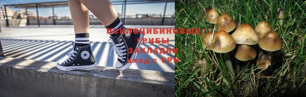 кокаин колумбия Тында