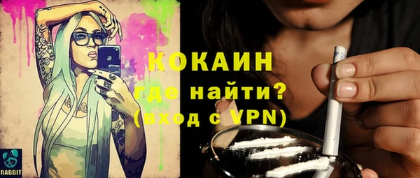тгк Гусев